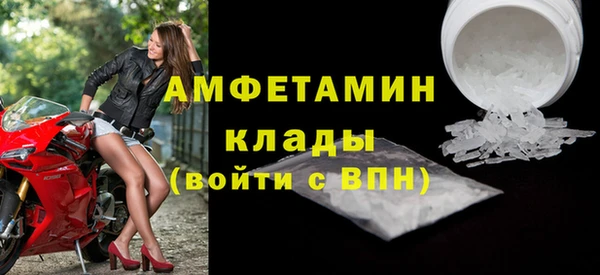 ECSTASY Богданович