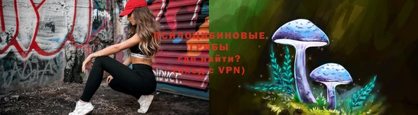 ECSTASY Богданович