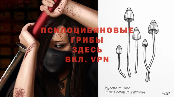 а пвп мука Богородицк