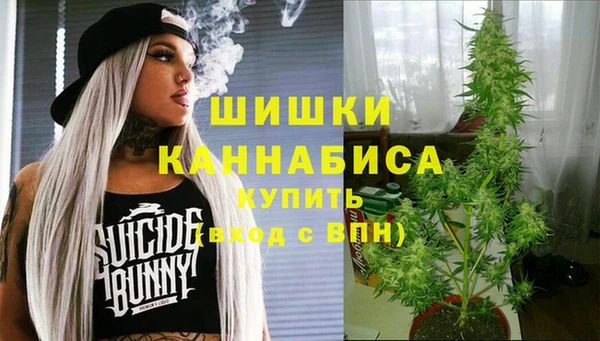 спиды Бронницы