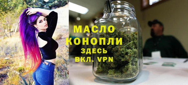 ECSTASY Богданович
