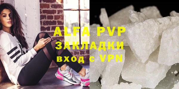ECSTASY Богданович