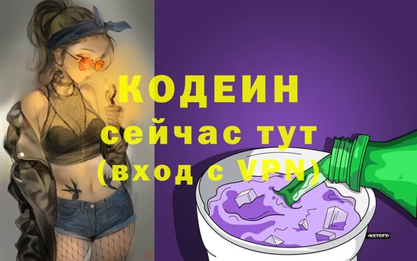 ECSTASY Богданович