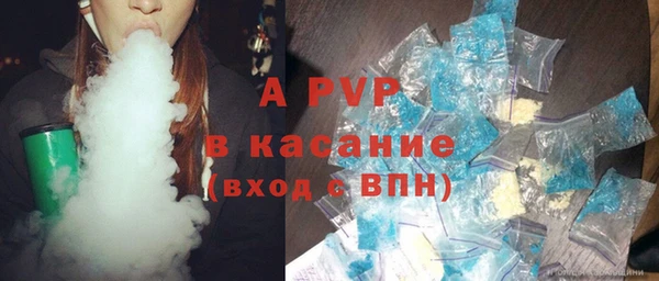 ECSTASY Богданович