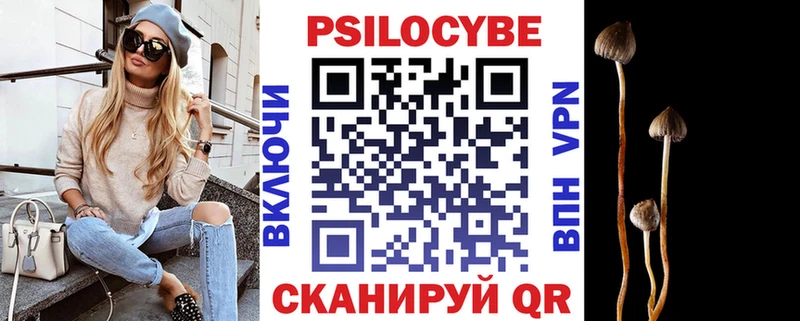 закладка  Теберда  Галлюциногенные грибы мухоморы 